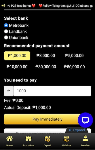 Step 2: Select the bank you want to make the payment to and enter the amount you want to pay. Then click "Pay Immediately".