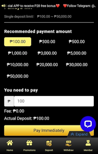 Step 2: Continue to fill in the amount you want to pay. Then select "Pay Immediately".